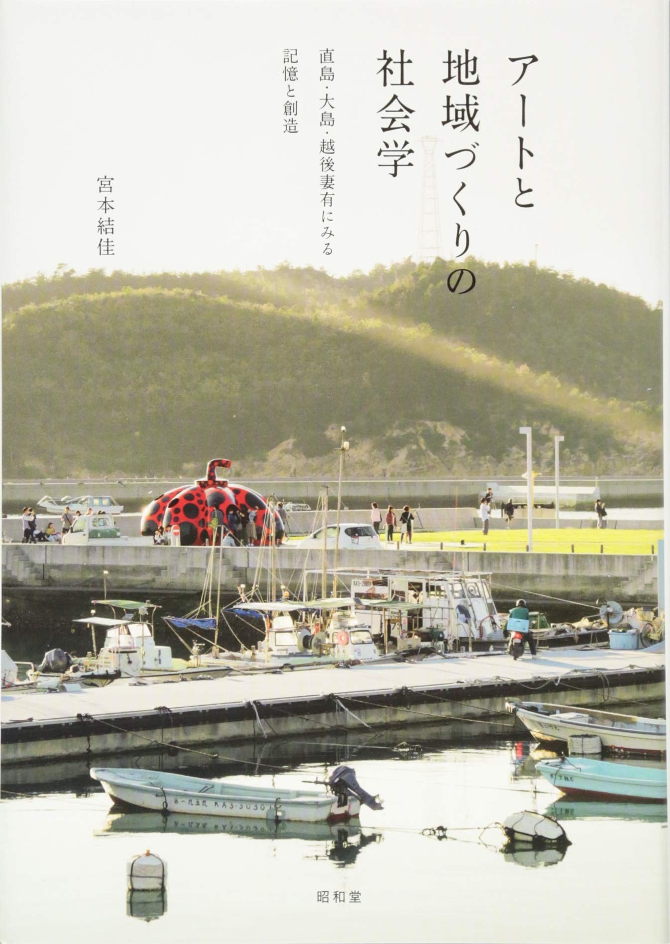 Amazon.co.jp: アートと地域づくりの社会学 直島・大島・越後妻有に